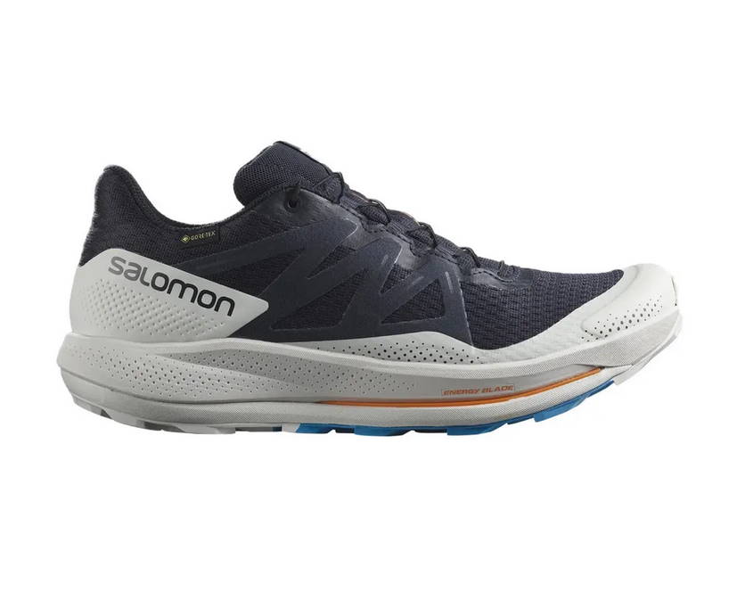 Salomon pulsar trail GTX