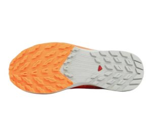 oferta salomon sense ride 5