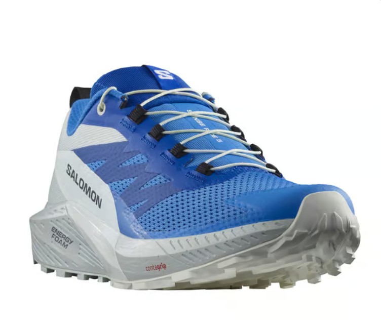 Salomon Sense Ride 5 azul