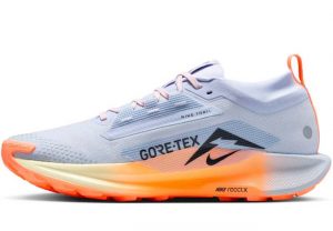 chollo_nike_pegasus_trail_5_gtx_2