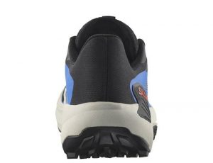 chollo_salomon_genesis_4