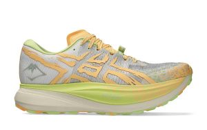 Asics Metafuji Trail en oferta